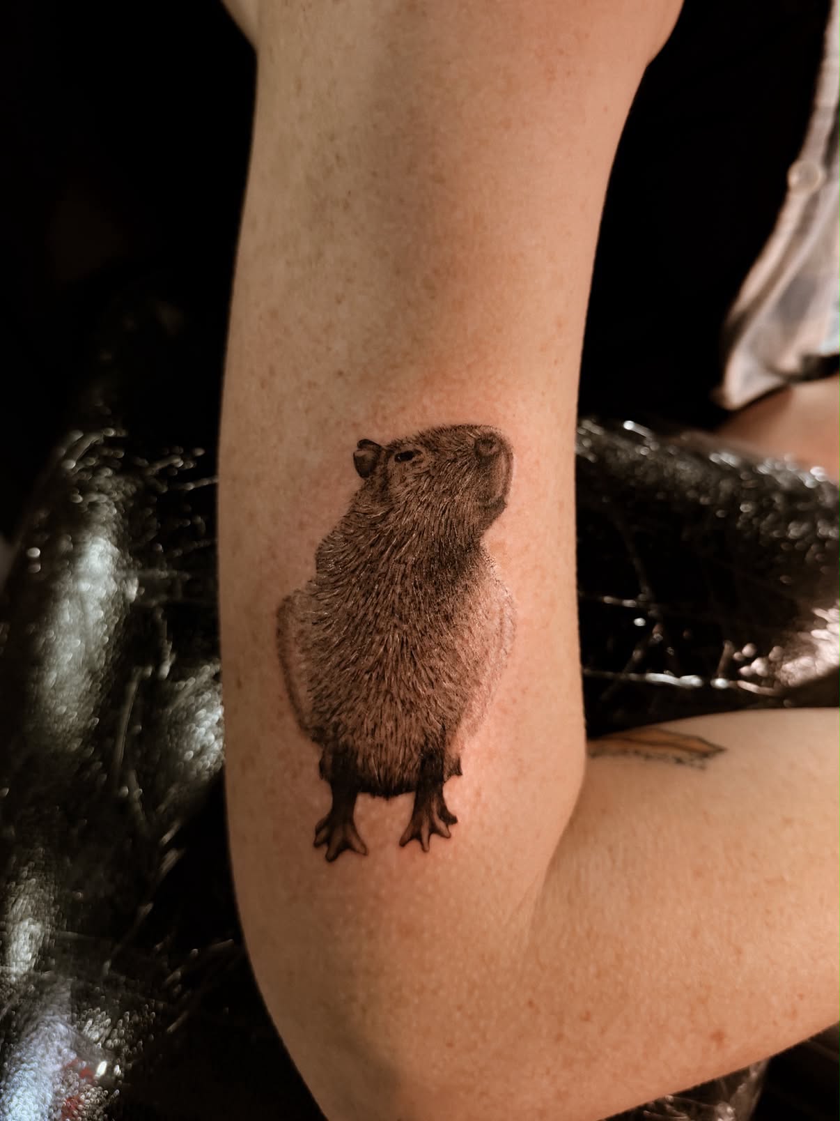 Fine-line tattoo by Gabby