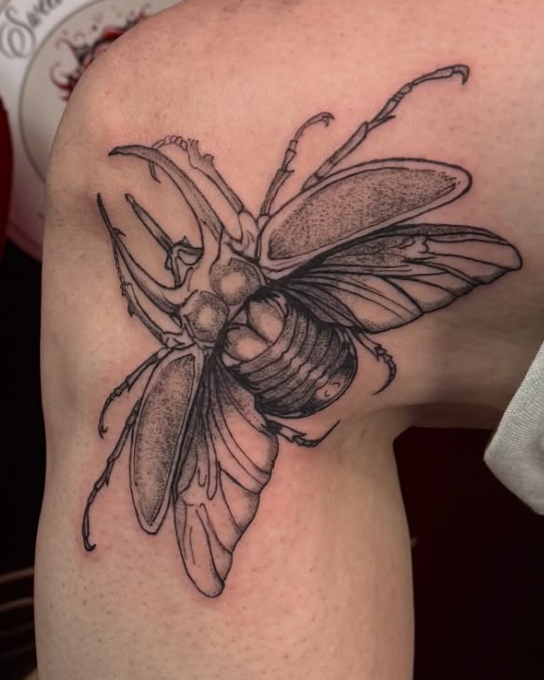 Fine-line dotwork stag beetle tattoo on the shoulder.